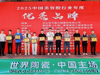 磚麗品牌榮獲2025中國美容膠行業(yè)“優(yōu)秀品牌”、“金牌施工服務企業(yè)”稱號！